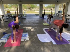 Yoga In-Person with Laurie Martin